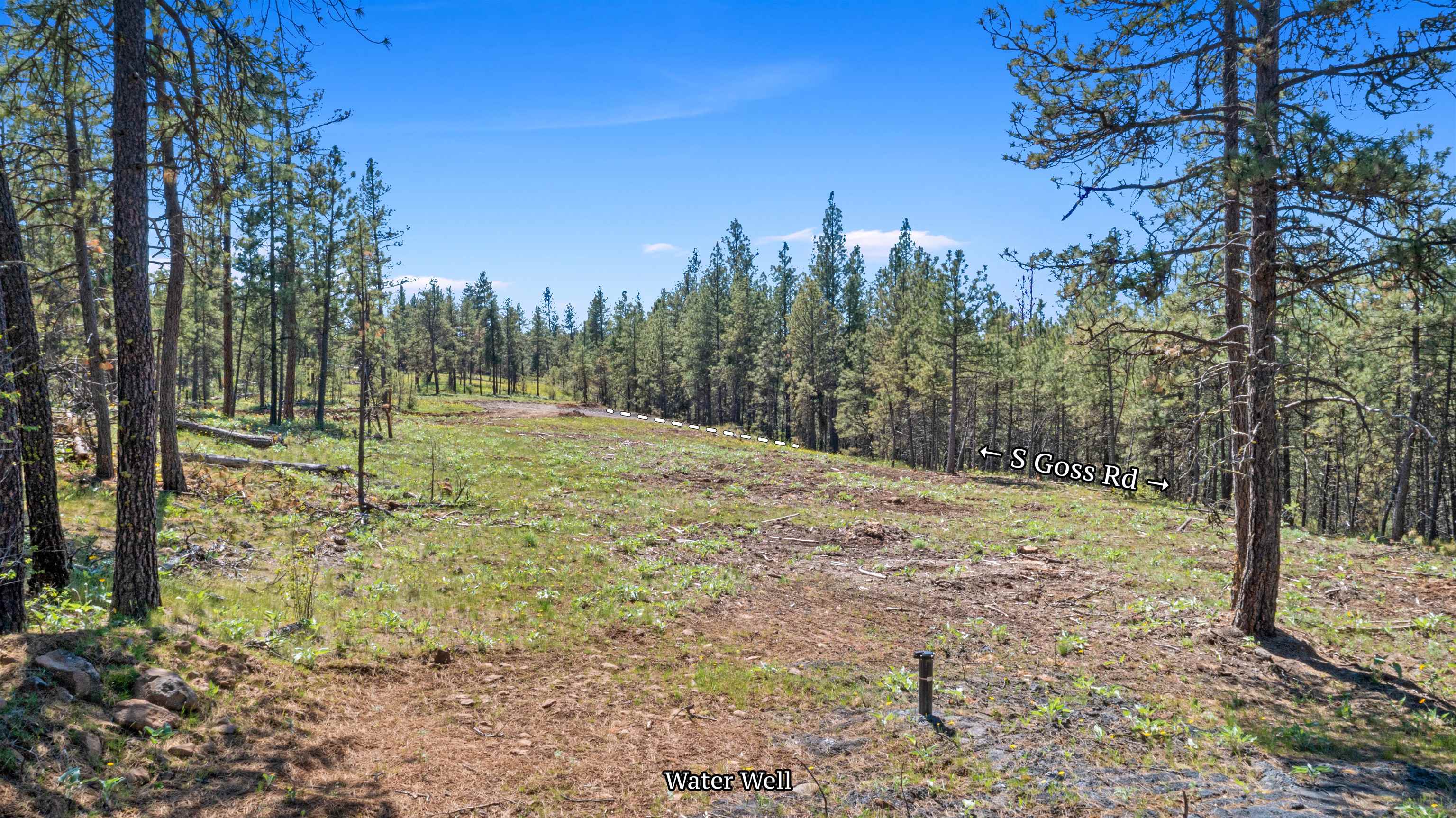 Tba South Goss Road Cheney, WA 99004 - Photo 10 of 23