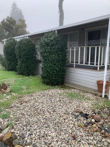 a view of house with backyard and garden