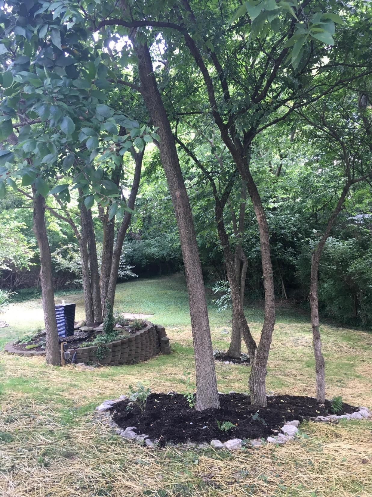 189 Strawberry Fields Road Lexington, KY 40516 - Photo 29 of 31 Photo 29
