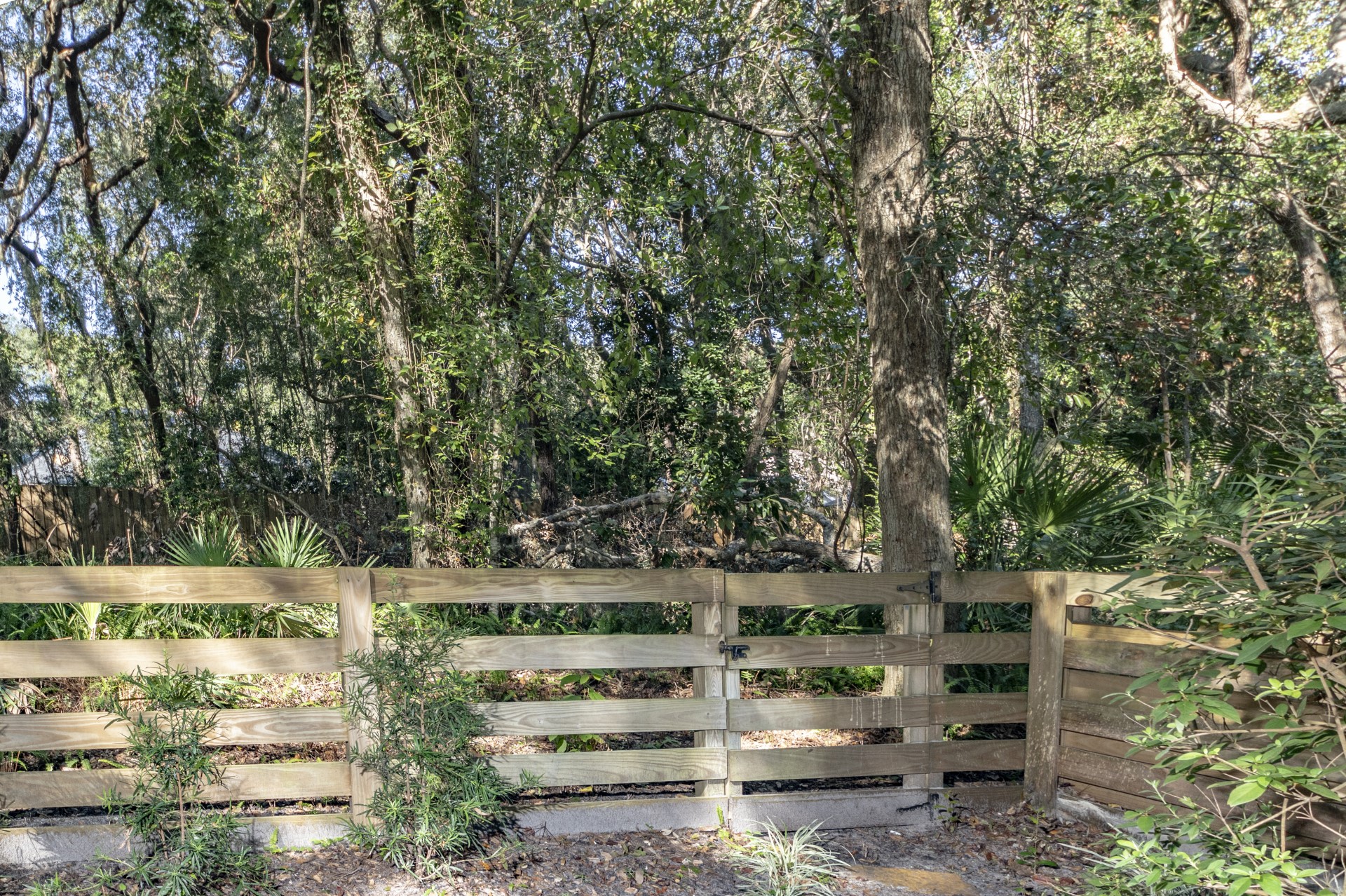 1795 Mariners Walk Fernandina Beach, FL 32034 - Photo 30 of 31