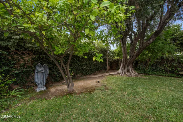 a big yard with lots of green space and deers