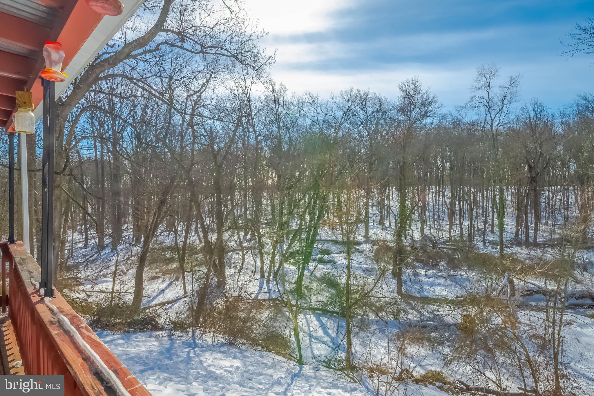 1628 North Bend Road Jarrettsville, MD 21084 - Photo 38 of 44