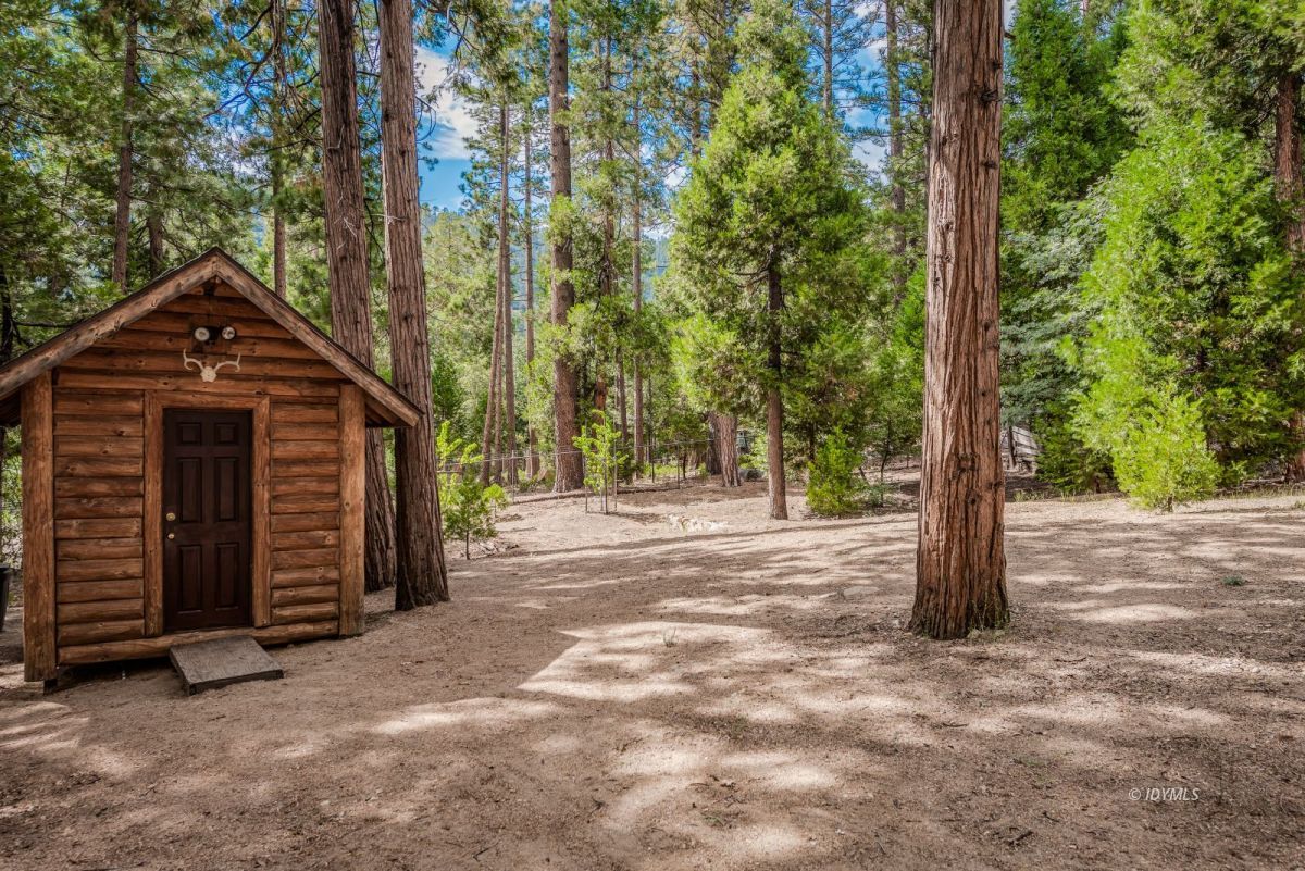 25117 Fern Valley Road Idyllwild, CA 92549 - Photo 43 of 67 a front view of a house with a yard