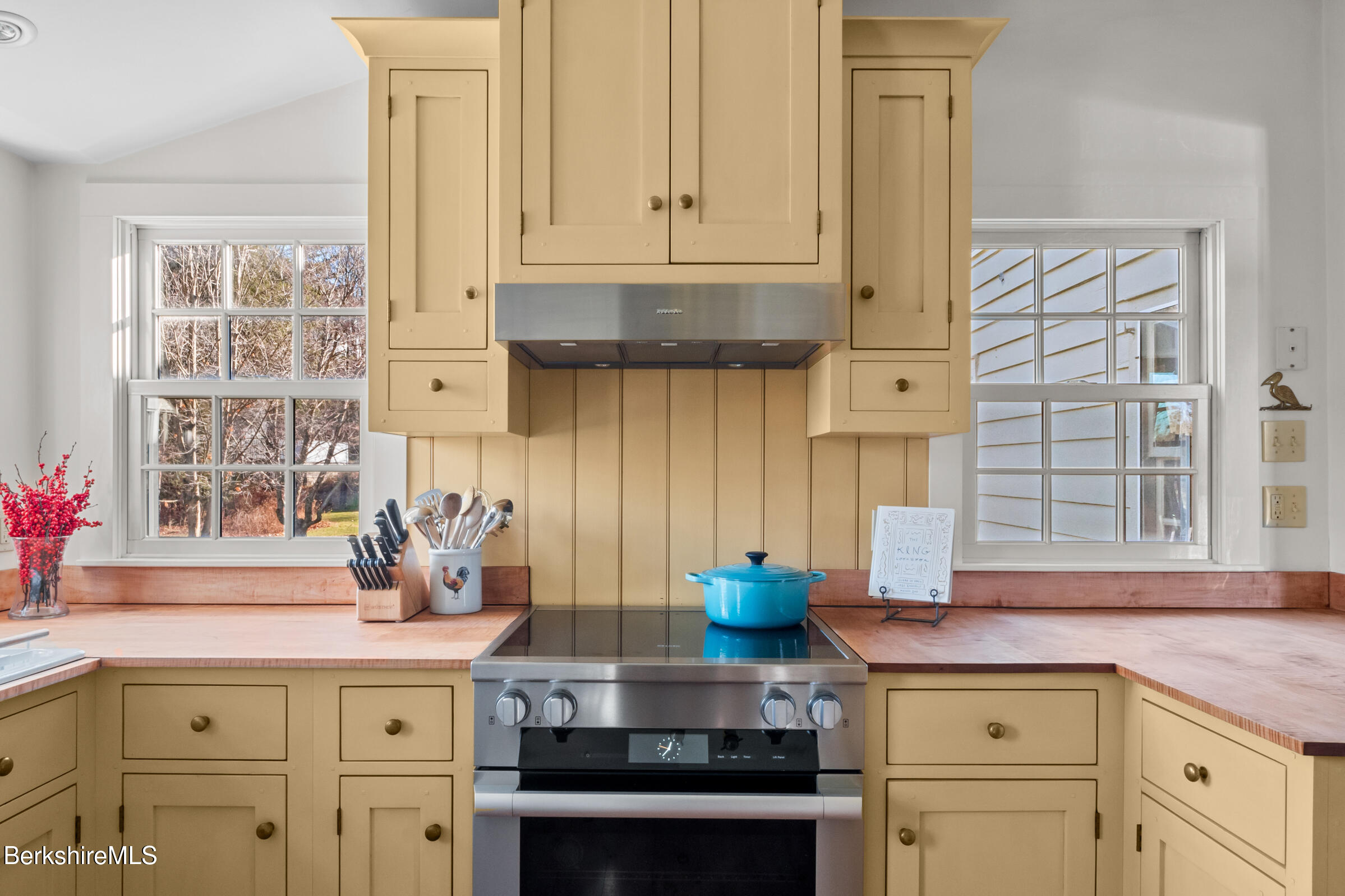 7 Stockbridge Road West Stockbridge, MA 01266 - Photo 15 of 44 Induction Stove