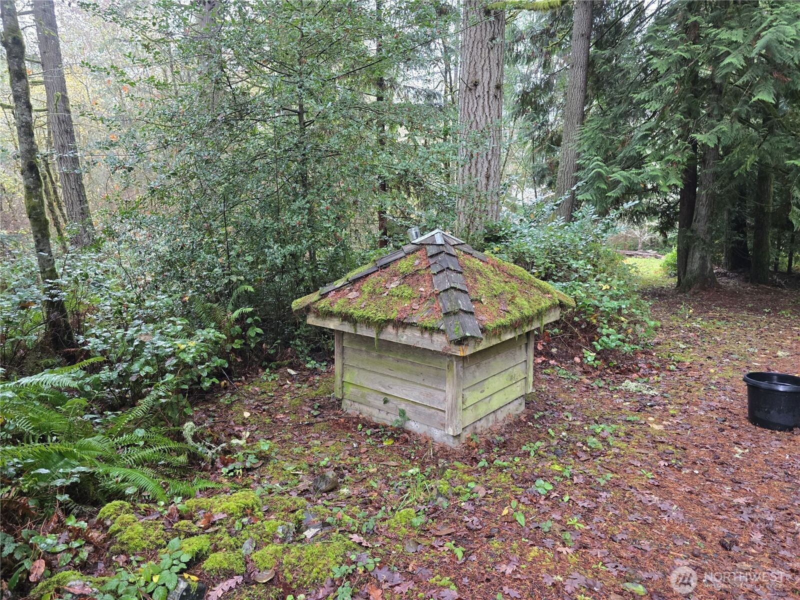245 Cousins Road Chehalis, WA 98532 - Photo 3 of 18 a view of a wooden house with a yard and large trees