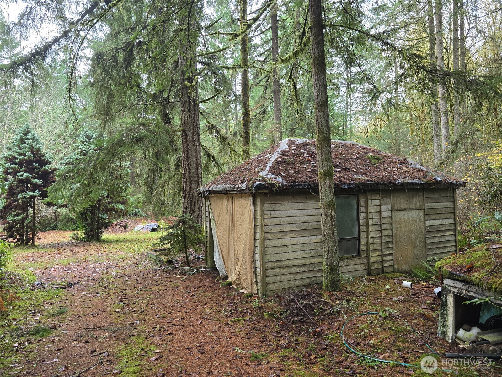 245 Cousins Road Chehalis, WA 98532 - Photo 4 of 18 a view of a barn in the middle of a yard