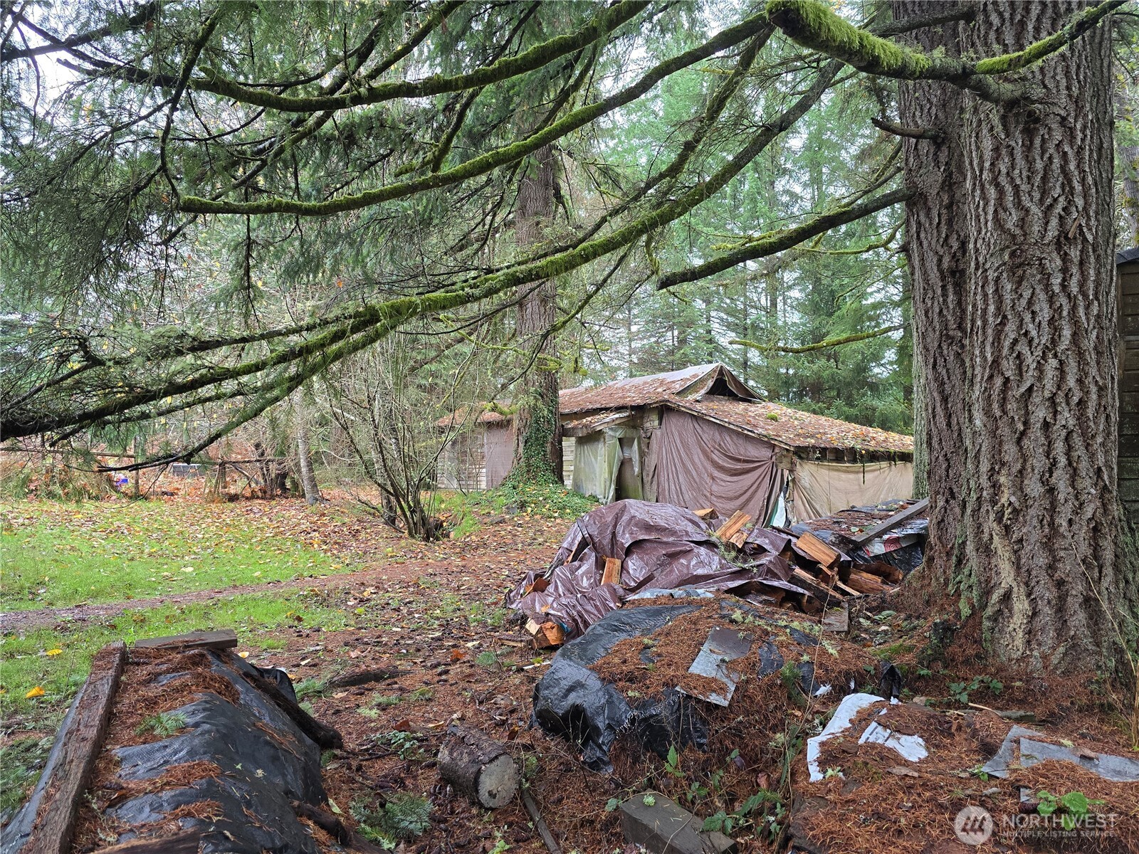 245 Cousins Road Chehalis, WA 98532 - Photo 5 of 18 a view of a backyard with table and chairs under an umbrella