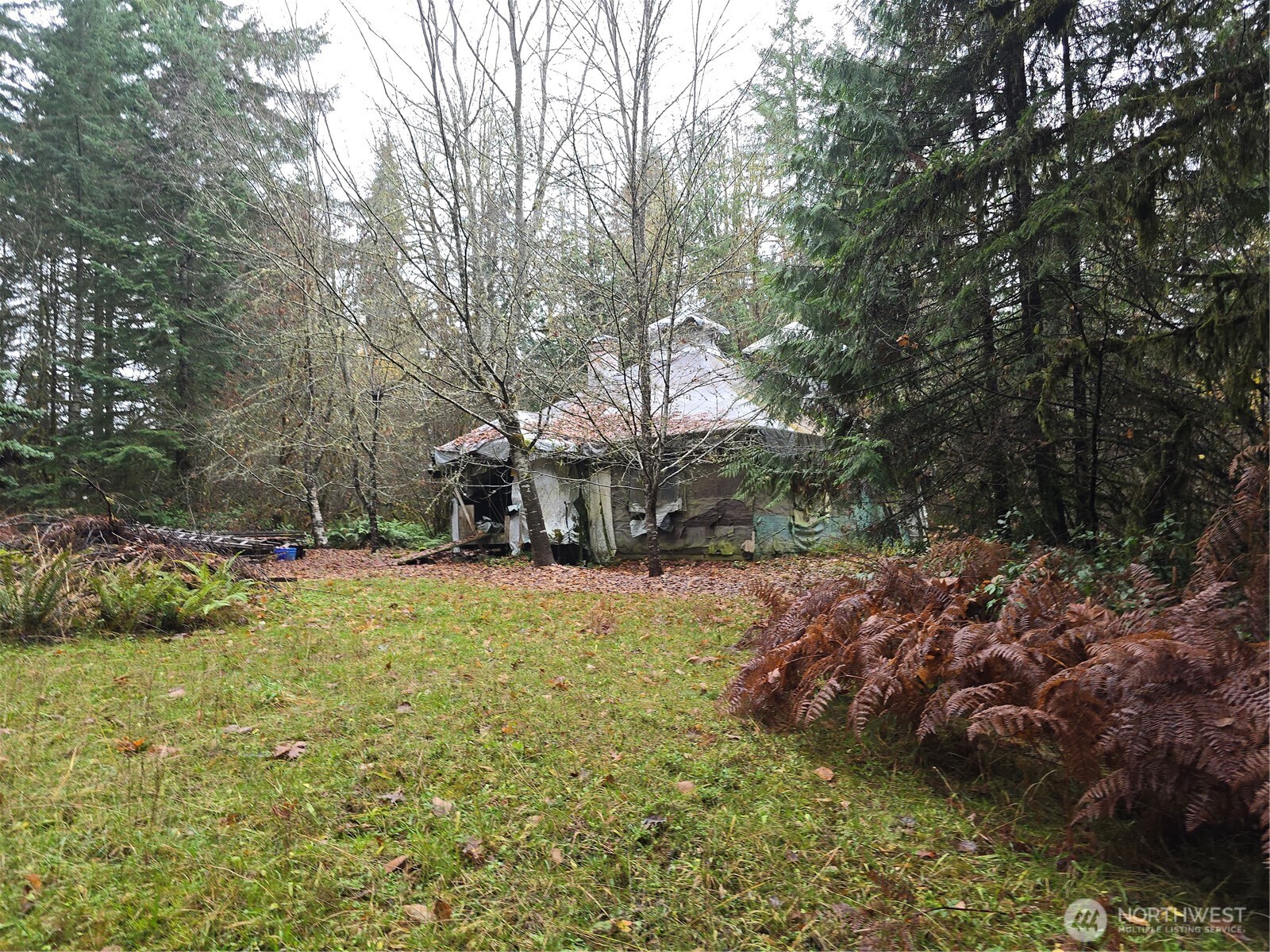 245 Cousins Road Chehalis, WA 98532 - Photo 6 of 18 a backyard of a house with lots of green space and fog