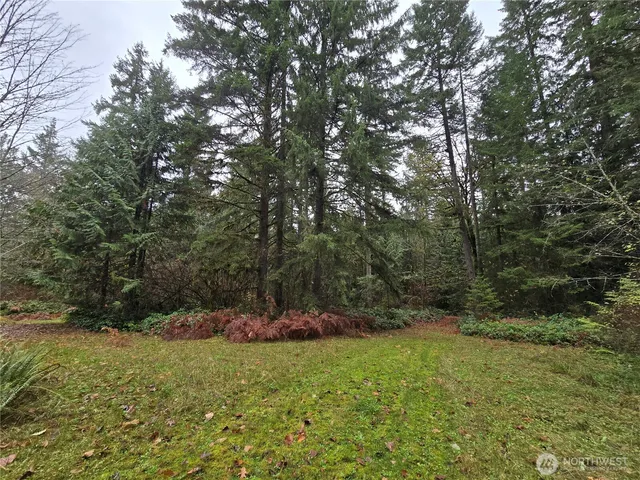 a view of outdoor space and yard