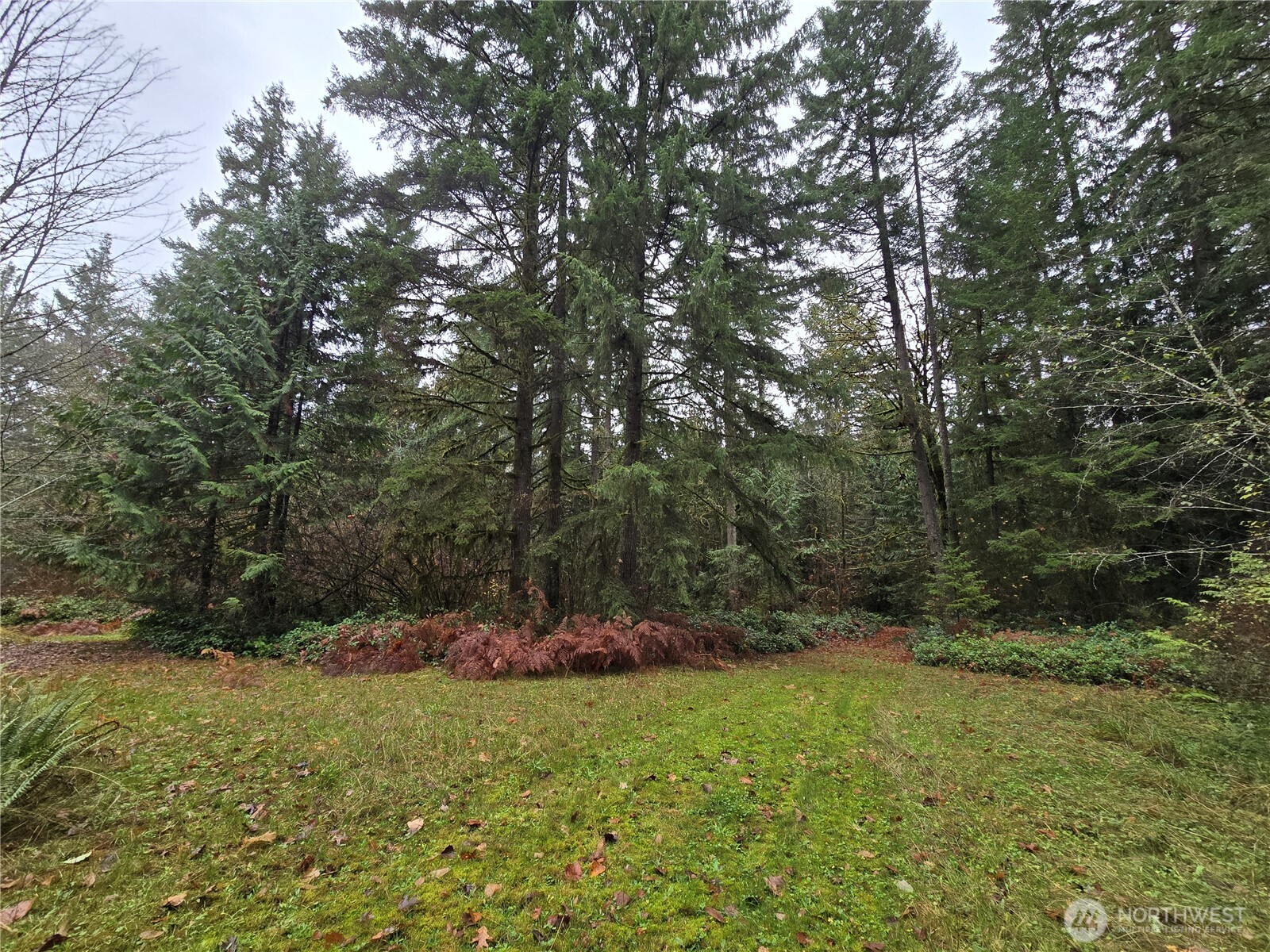 245 Cousins Road Chehalis, WA 98532 - Photo 9 of 18 a view of outdoor space and yard