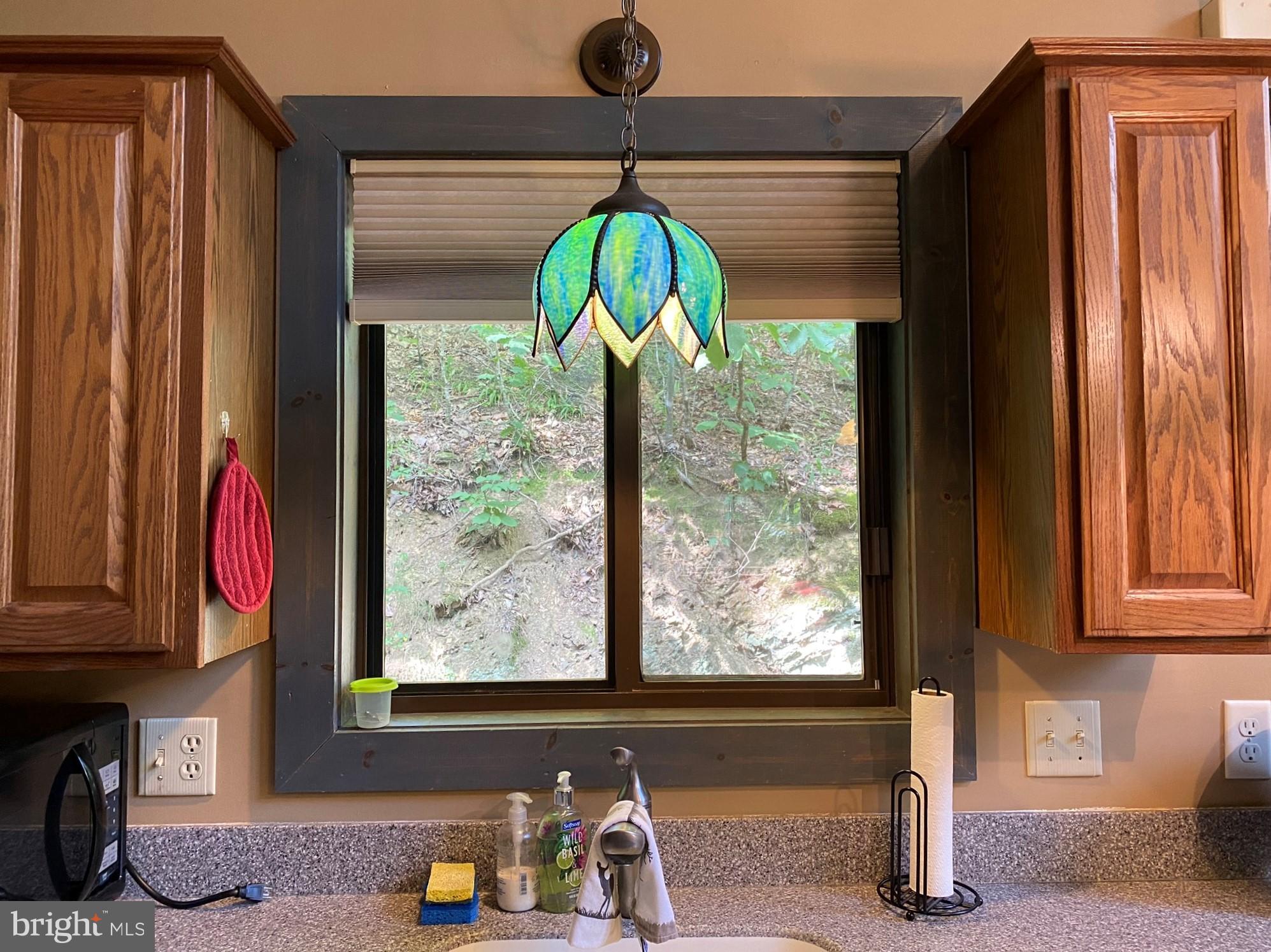 267 Susan Road Basye, VA 22842 - Photo 15 of 84 And a window on the outdoors