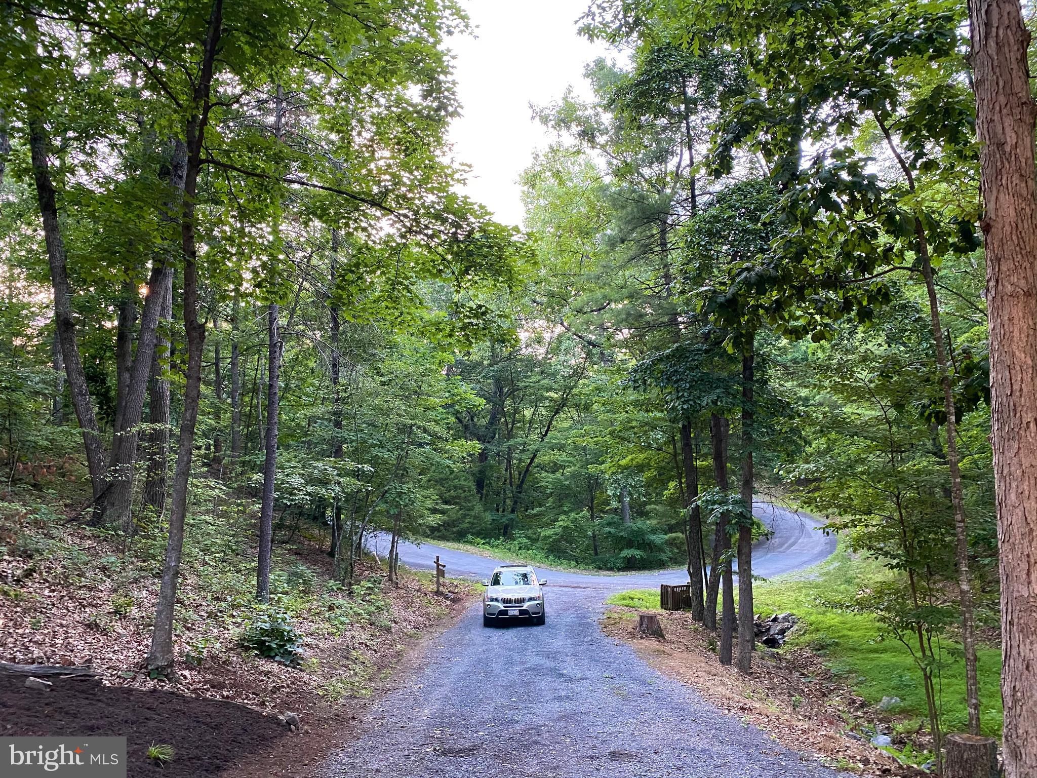 267 Susan Road Basye, VA 22842 - Photo 39 of 84 a view of a park with large trees