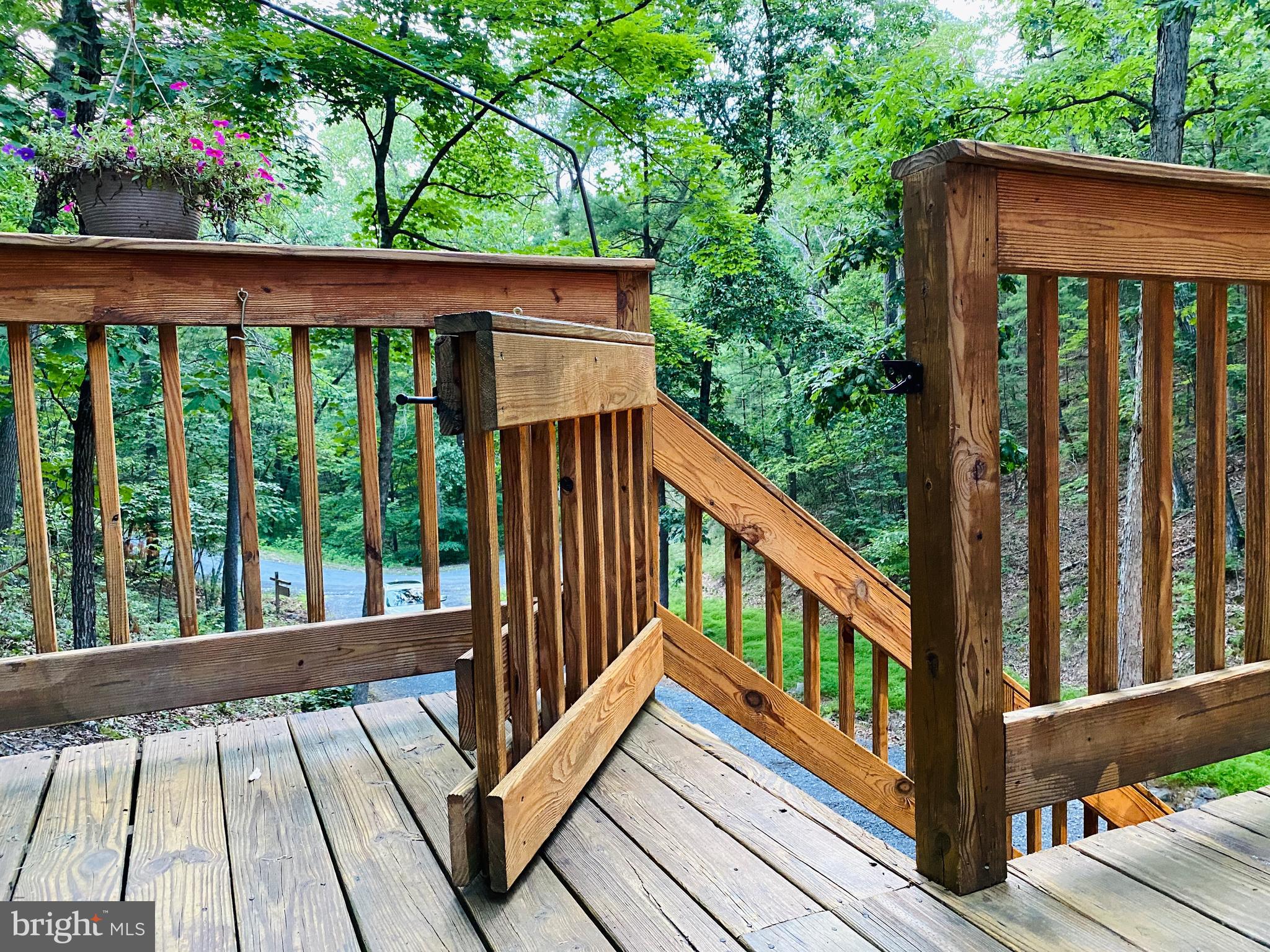 267 Susan Road Basye, VA 22842 - Photo 4 of 84 a view of a wooden deck