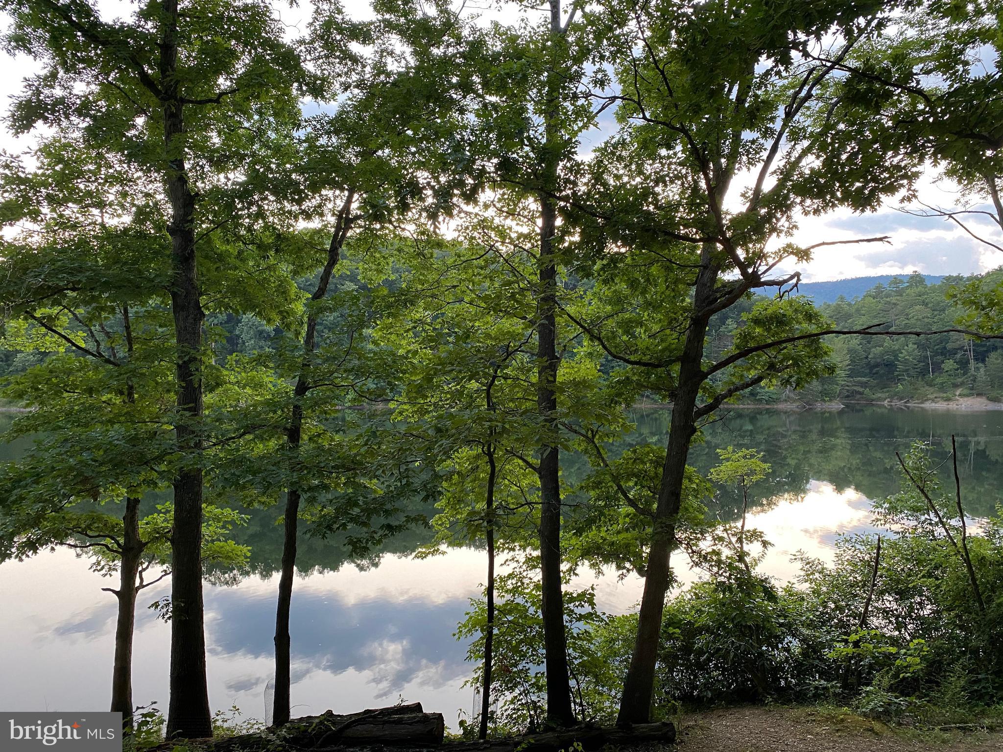 267 Susan Road Basye, VA 22842 - Photo 41 of 84 Lake Laura as seen from the the path