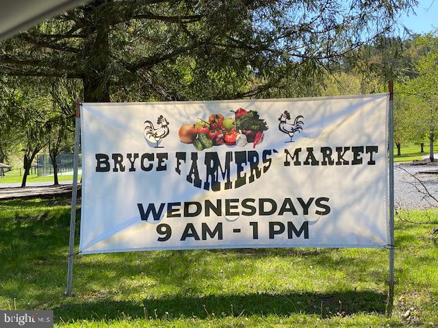 267 Susan Road Basye, VA 22842 - Photo 54 of 84 Farmers Market on Wednesday