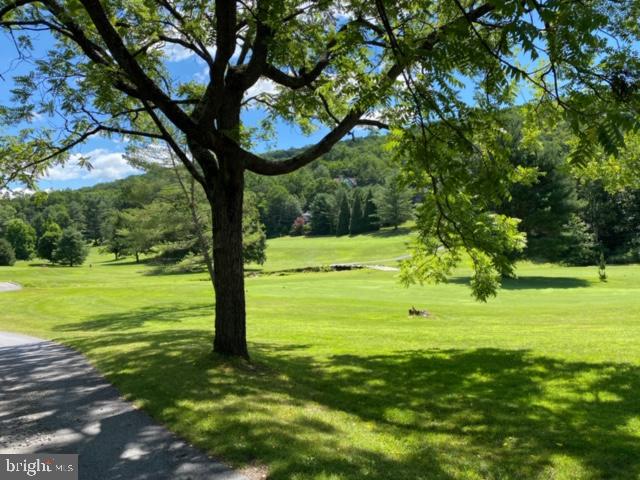 267 Susan Road Basye, VA 22842 - Photo 62 of 84 It is absolutely gorgeous