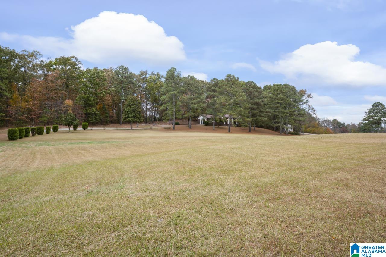 63 Daileys Chapel Road Oneonta, AL 35121 - Photo 2 of 27