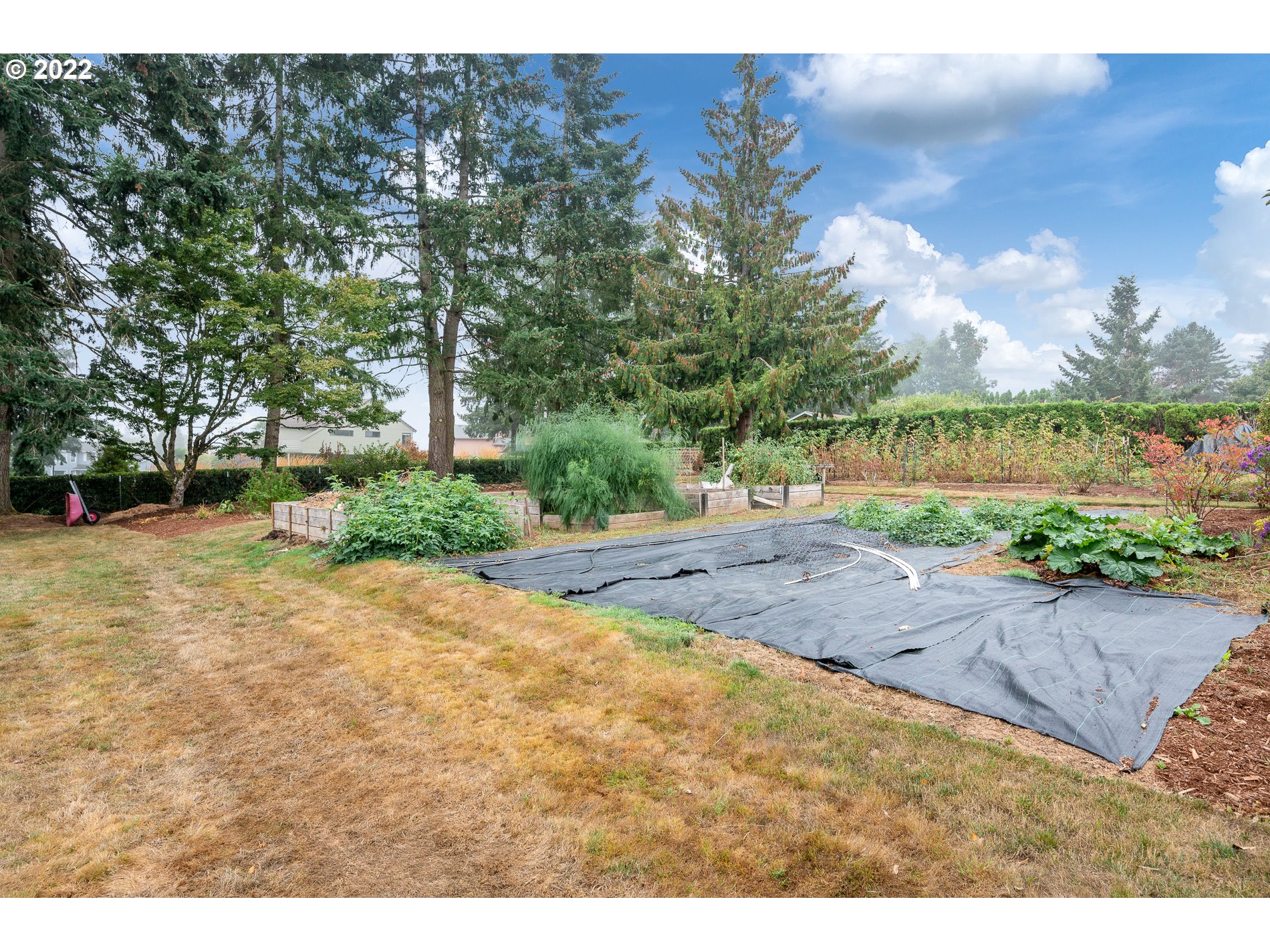 22592 Southeast Hoffmeister Road Damascus, OR 97089 - Photo 26 of 32 Gallery Image 26