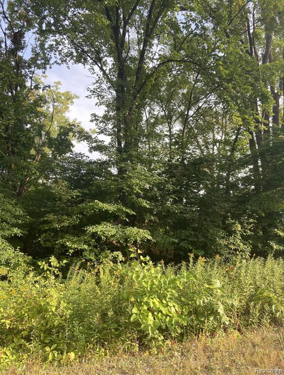 Vl Decker Road Walled Lake, MI 48390 - Photo 5 of 6