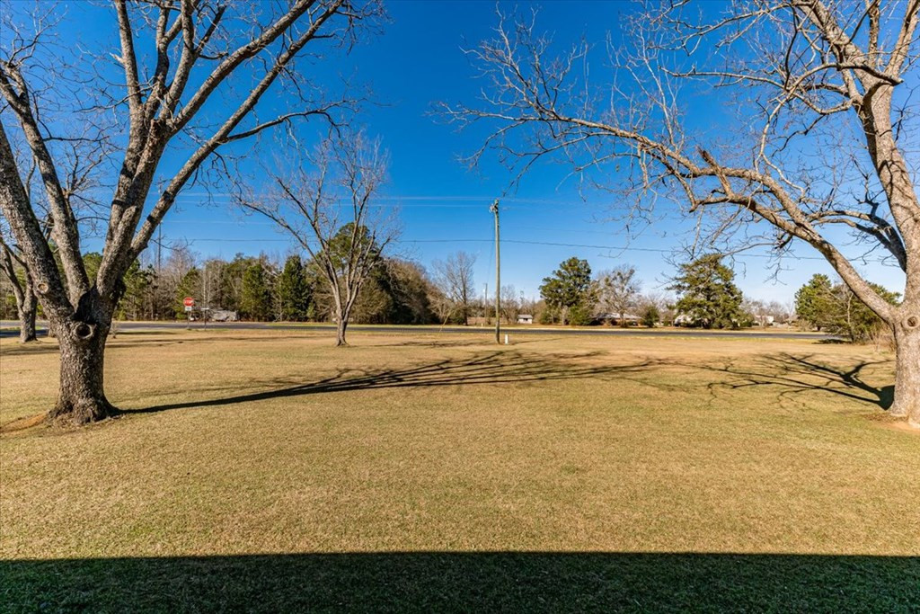 1041 Cedar Road Matthews, GA 30818 - Photo 4 of 47