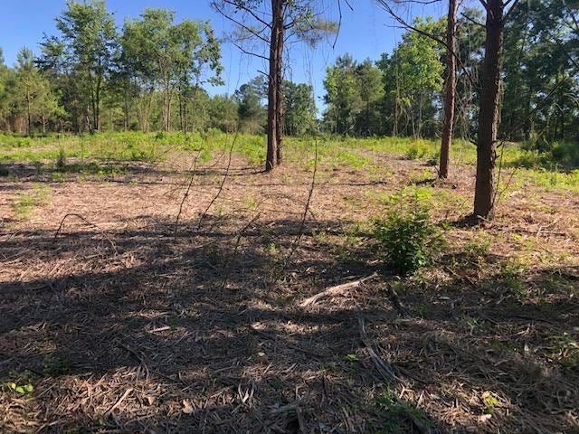 2-lot Dyess Dairy Road Opp, AL 36467 - Photo 6 of 12 Gallery Image 6