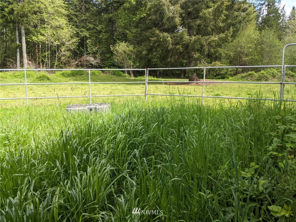 84 Lewis Road Oakville, WA 98568 - Photo 23 of 32 Gallery Image 23