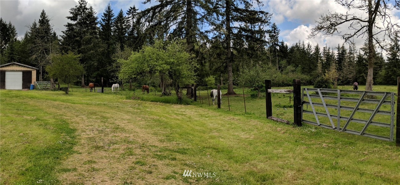84 Lewis Road Oakville, WA 98568 - Photo 24 of 32 Gallery Image 24