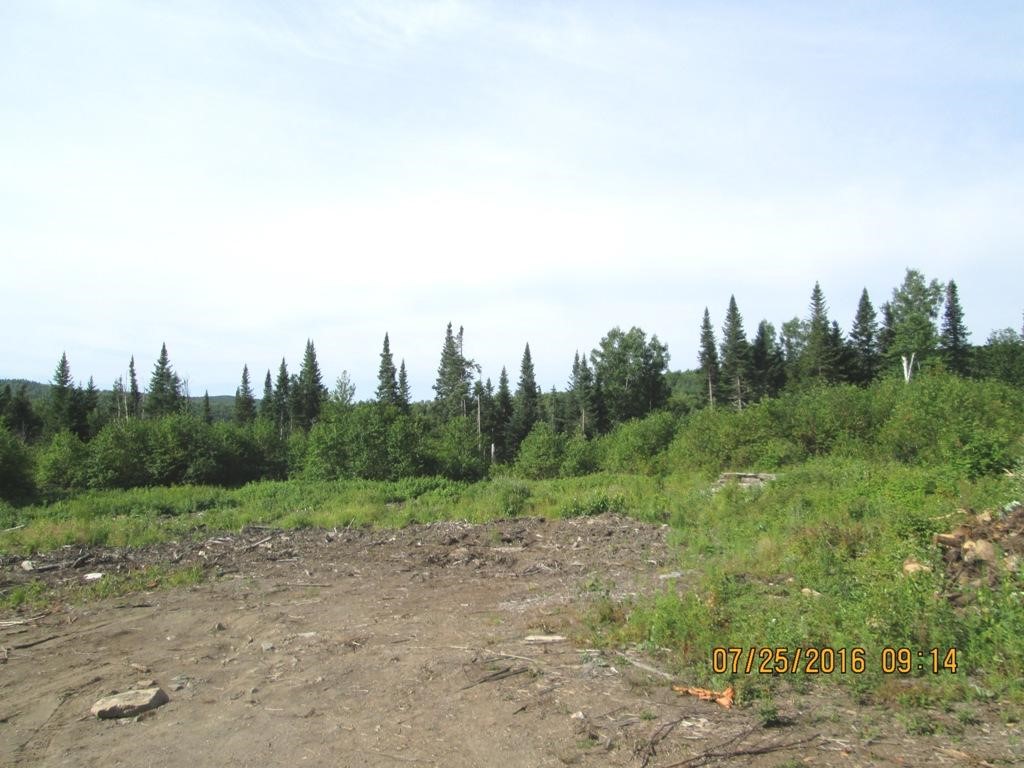Lot 4 Canaan Hill Road Canaan, VT 05903 - Photo 1 of 4