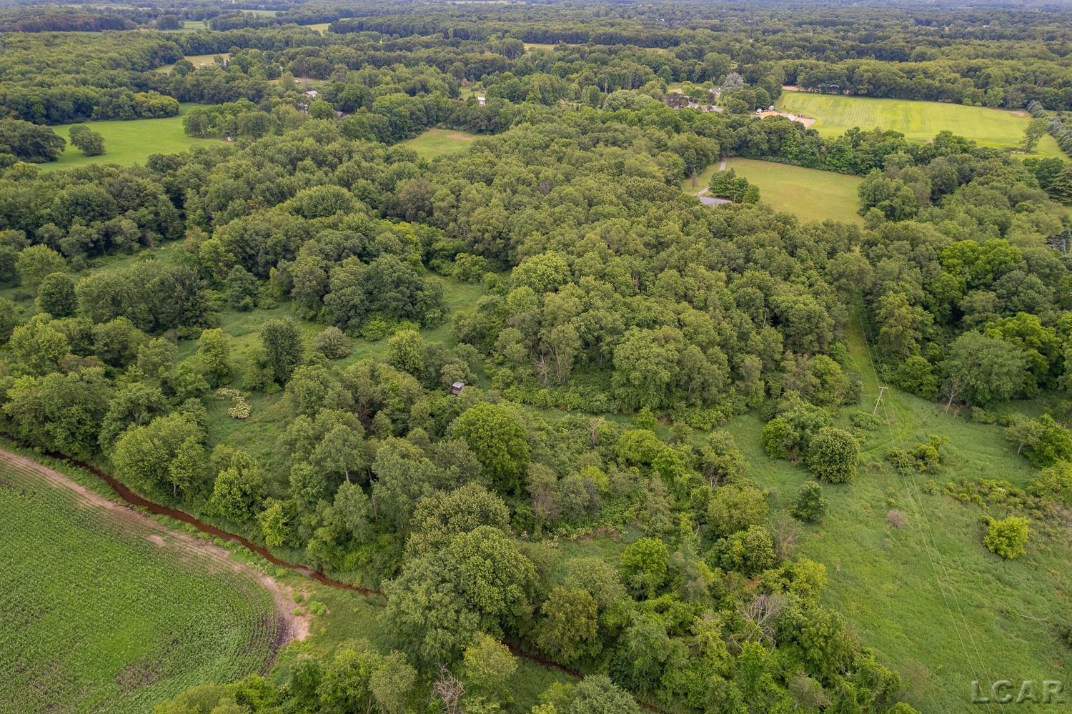 2010 South Kane Road Stockbridge, MI 49285 - Photo 69 of 80