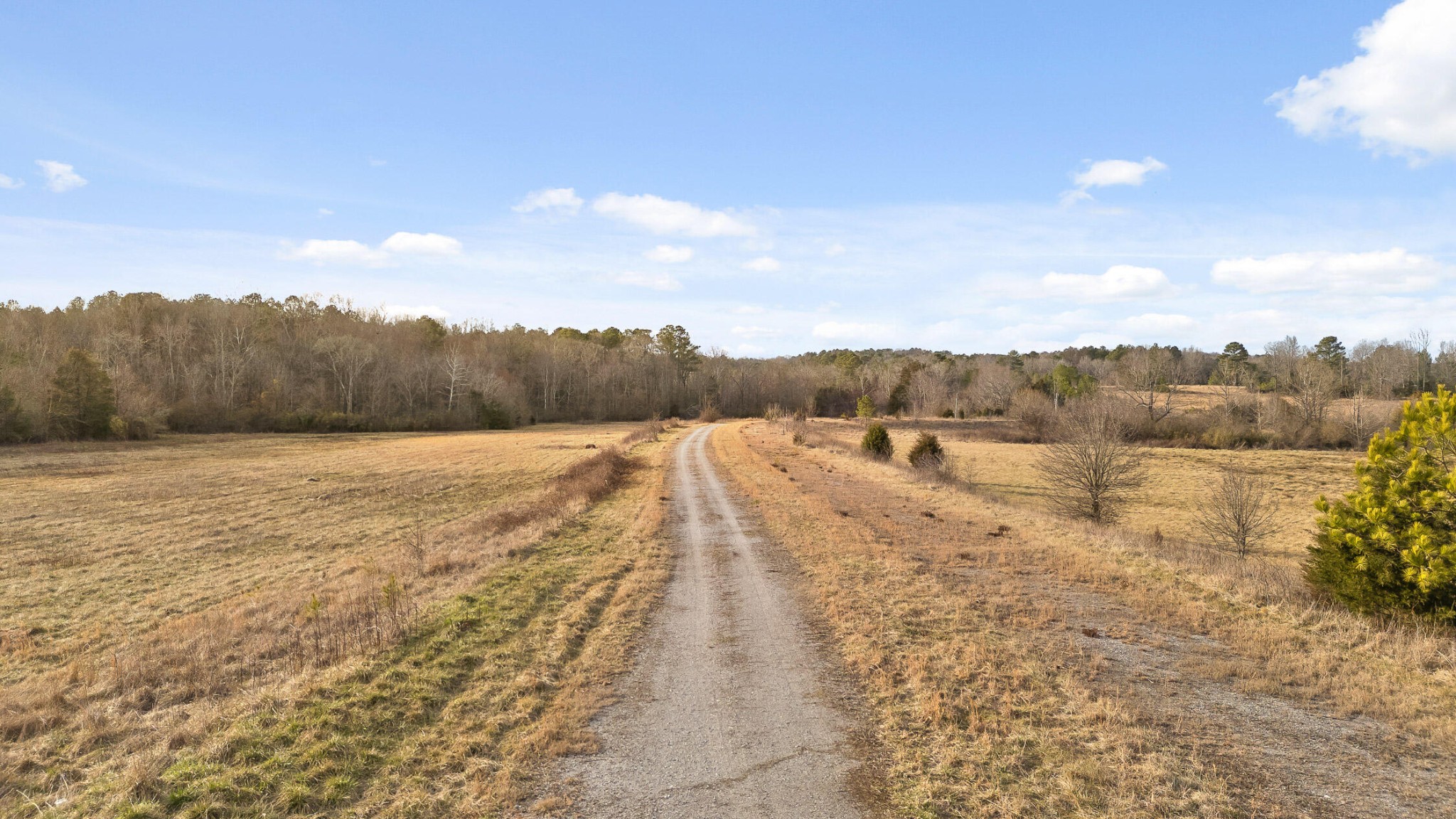 5500 Three Notch Road Ringgold, GA 30736 - Photo 12 of 33 Gallery Image 12