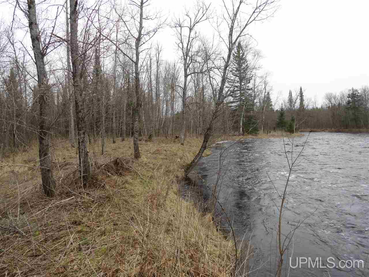 44-acres Ford River Road Arnold, MI 49831 - Photo 3 of 36