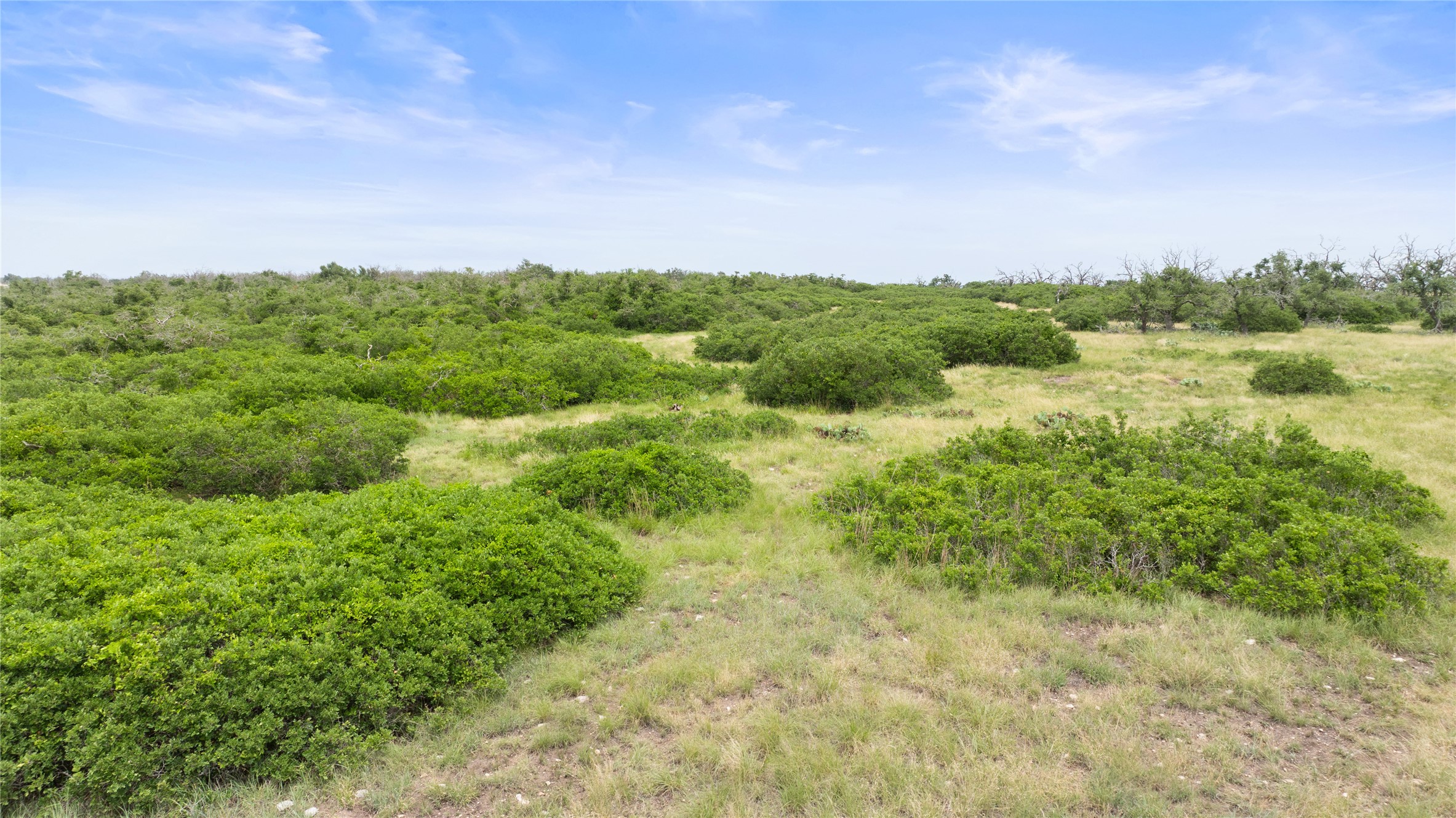 3049 Reservation Road Harper, TX 78631 - Photo 11 of 40 a view of a field with a tree in the background