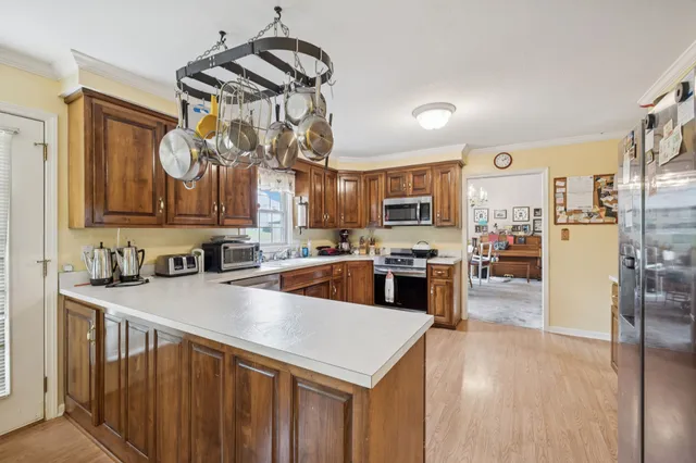 a kitchen with stainless steel appliances a sink a refrigerator a counter top space cabinetry and a chandelier