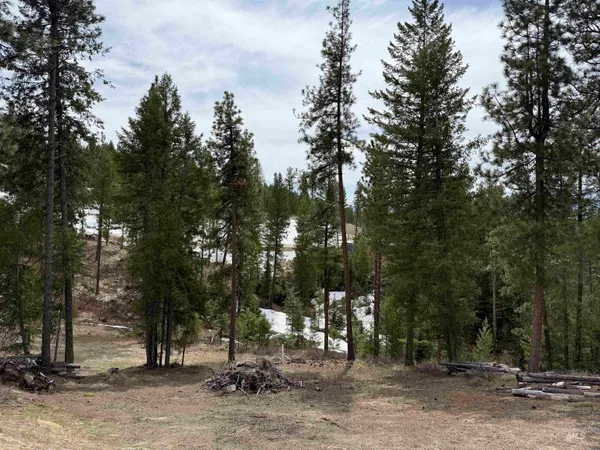 $295,000 | 33 San Ignacio Way, Cascade, ID 83611