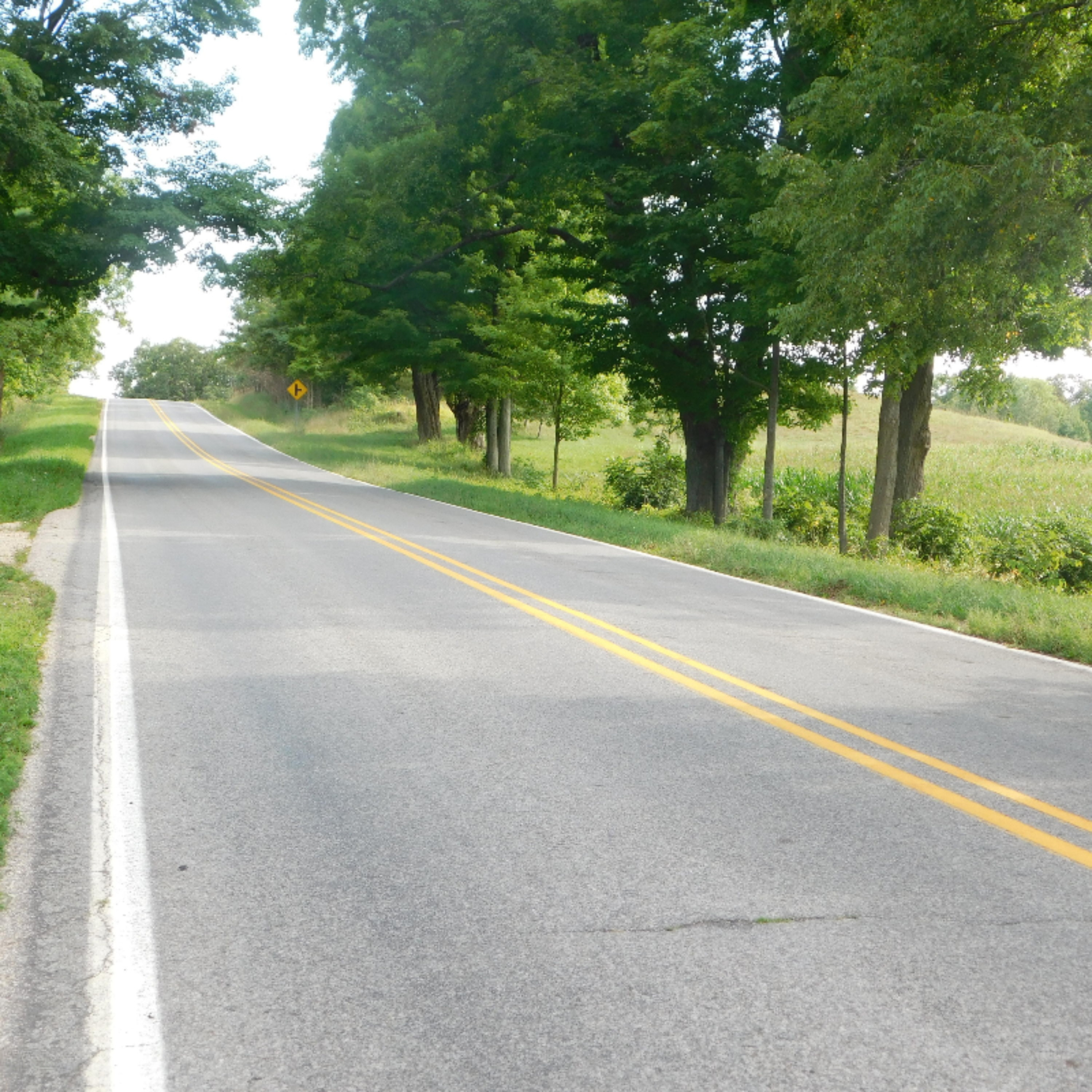 6688 West County Line Road Howard City, MI 49329 - Photo 22 of 27 DSCN1937