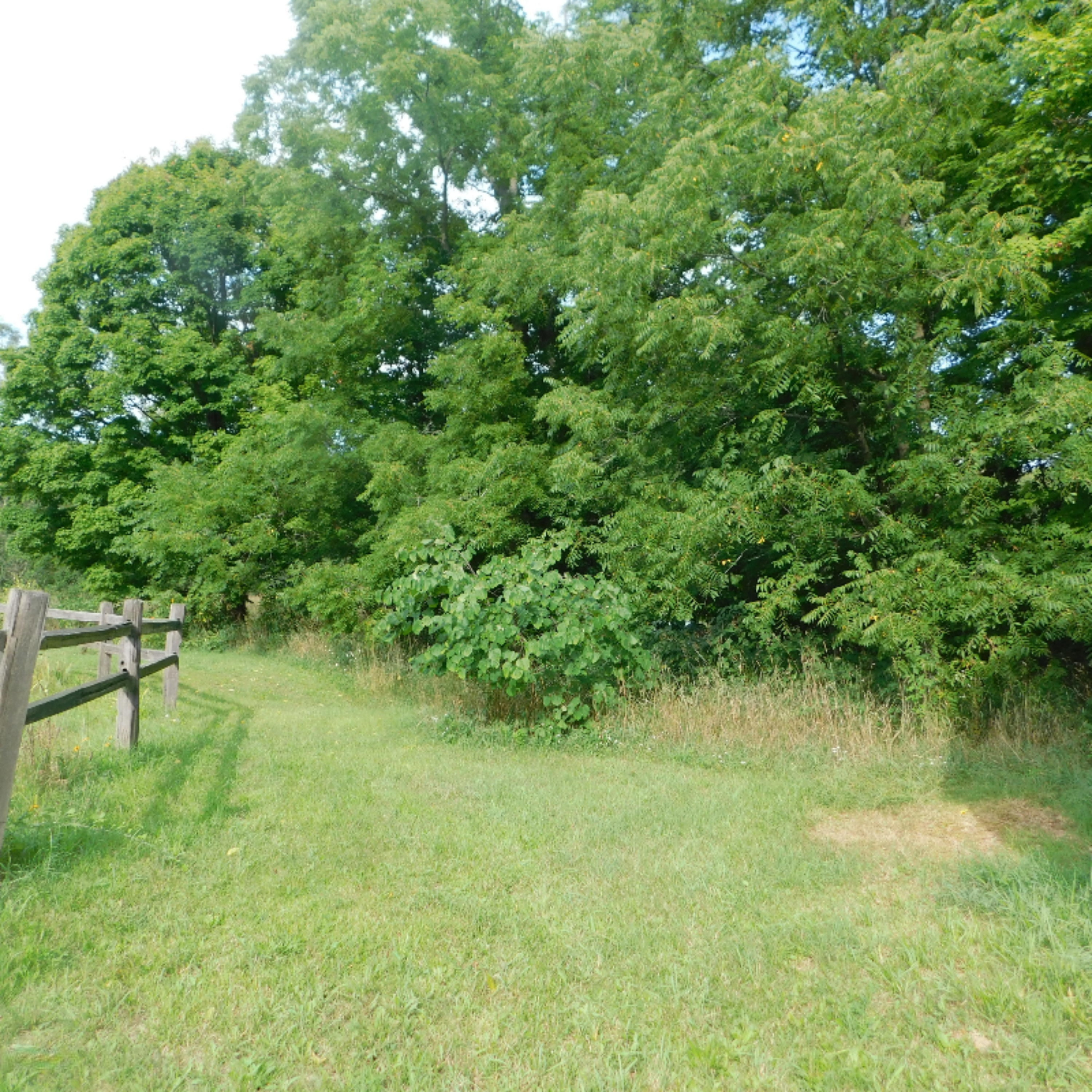 6688 West County Line Road Howard City, MI 49329 - Photo 24 of 27 DSCN1939