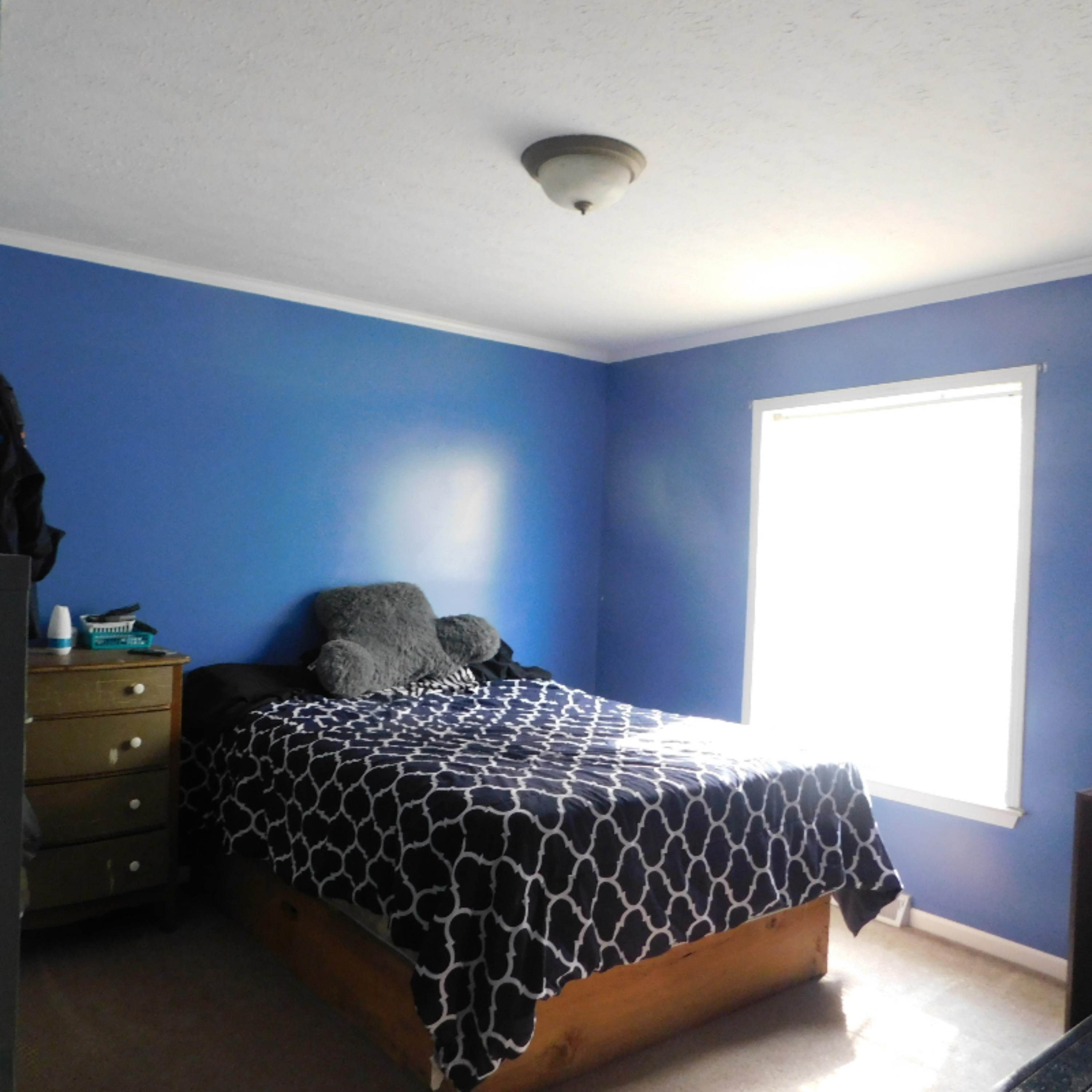 6688 West County Line Road Howard City, MI 49329 - Photo 5 of 27 DSCN1917