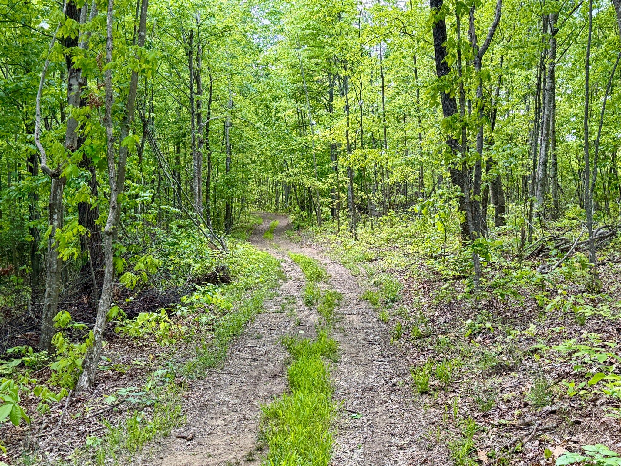 100 A Open Fork Road Morehead, KY 40351 - Photo 14 of 75 Trail
