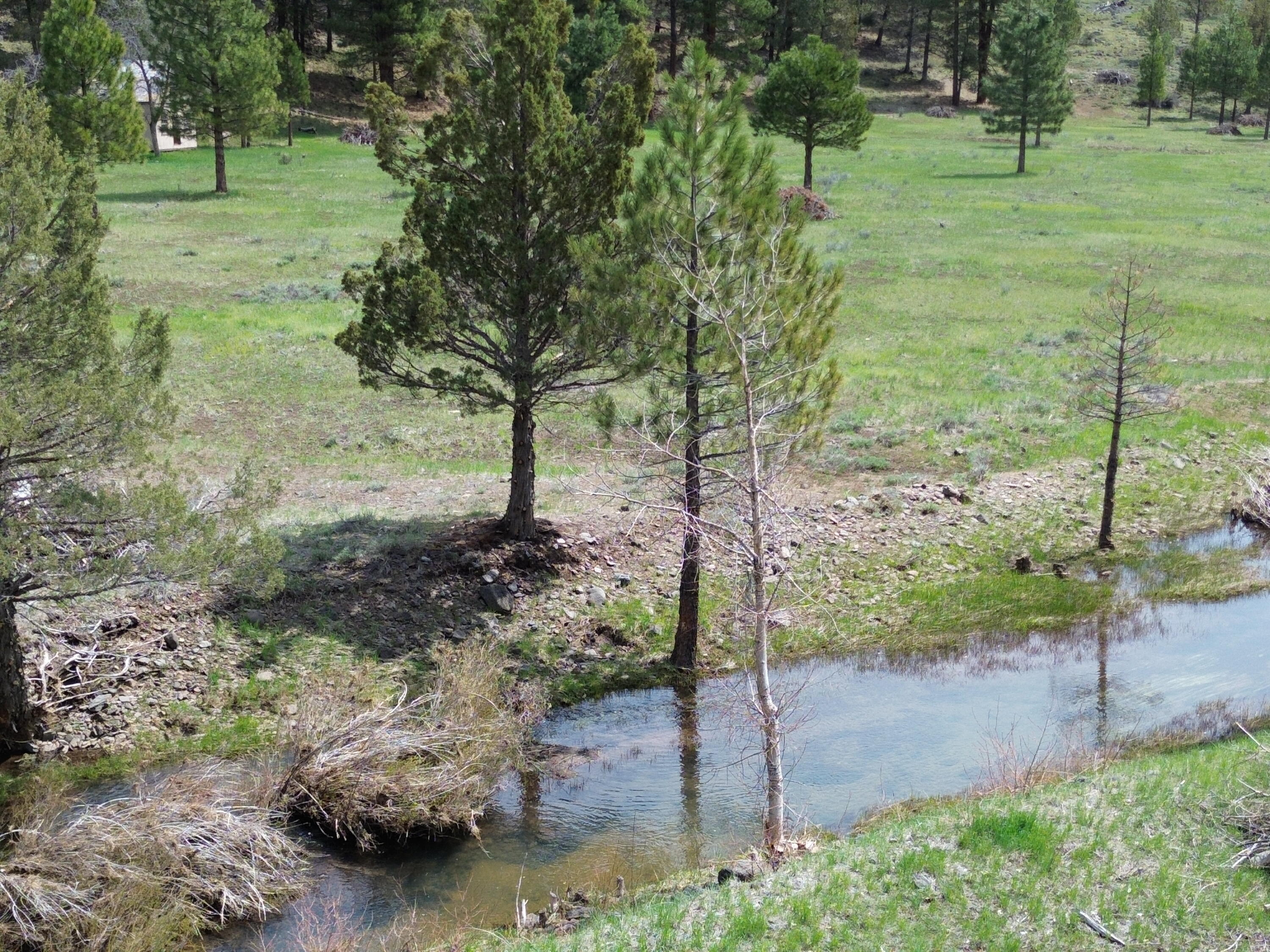 0 Roney Flat Road Lookout, CA 96054 - Photo 12 of 26 Johnson Creek