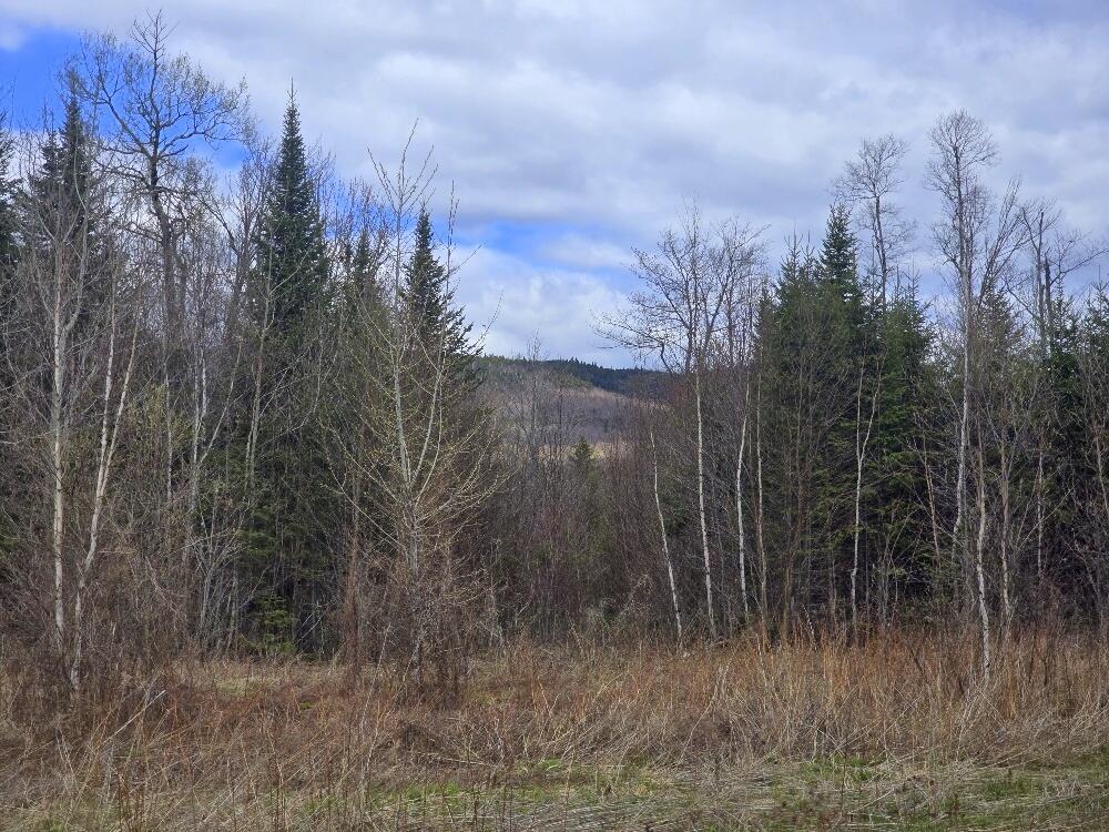 36 Chimney Rock Road Temple, ME 04984 - Photo 15 of 19