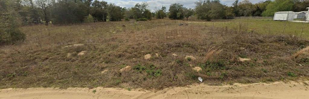 513 Annette Avenue Interlachen, FL 32148 - Photo 3 of 3 a view of an outdoor space and a yard