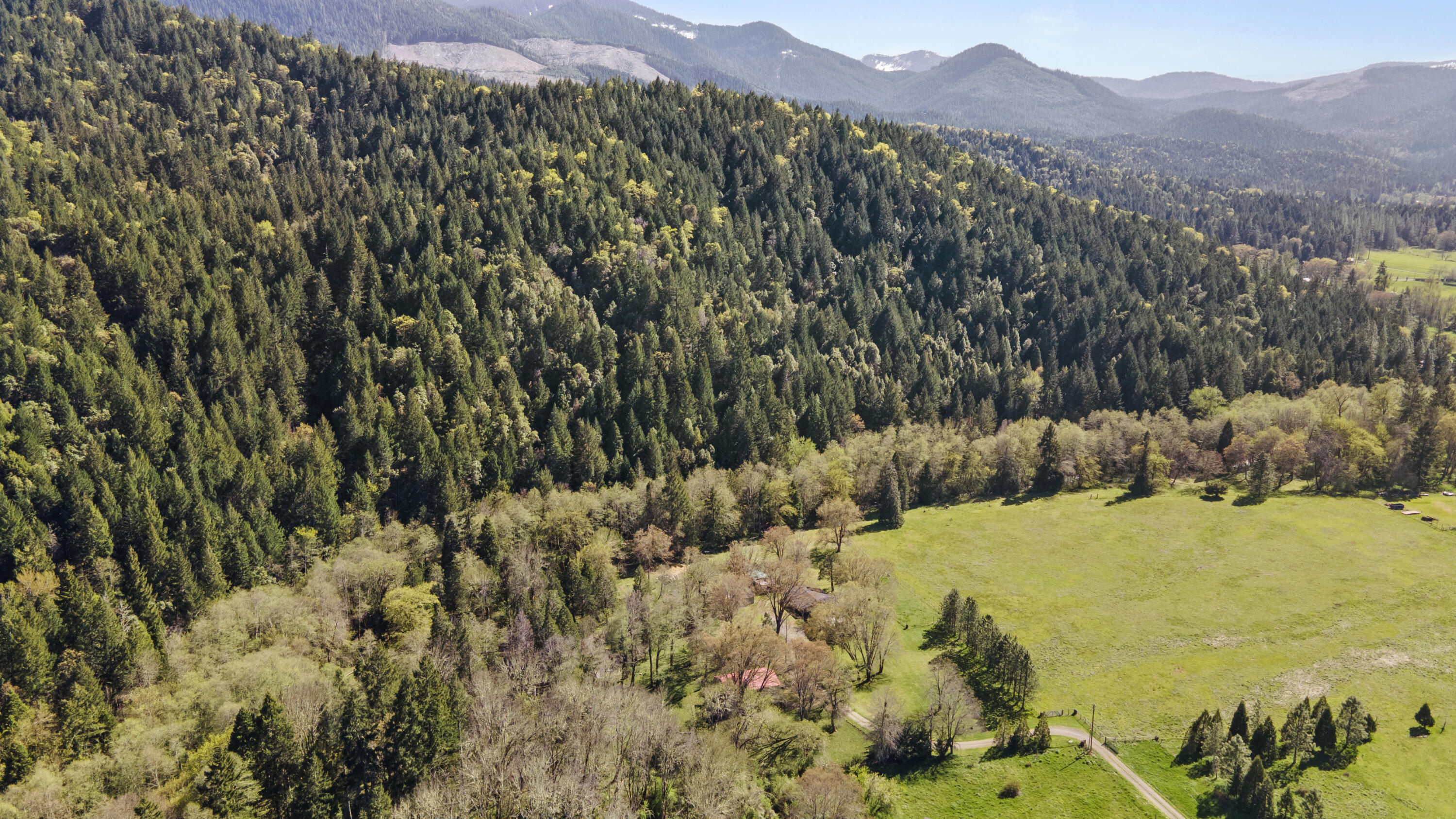 2800 Cedar Flat Road Williams, OR 97544 - Photo 43 of 48 Aerial View w/ Standing Timber