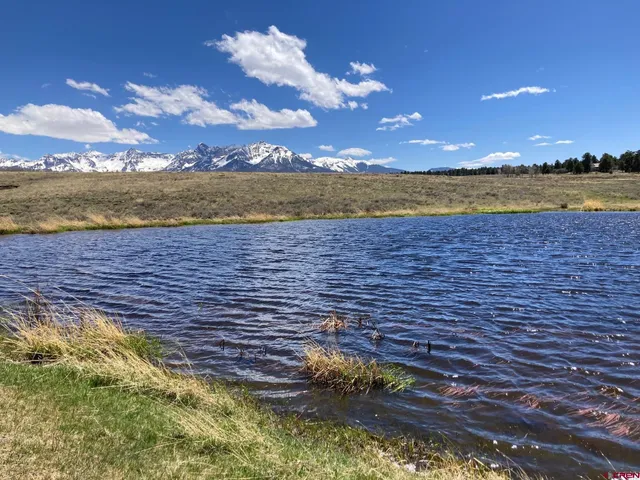 a view of an ocean beach