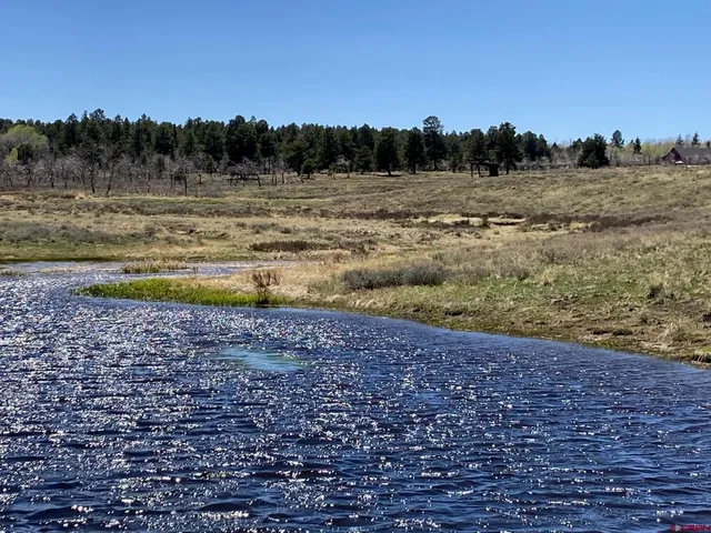 a view of a yard with a mountain