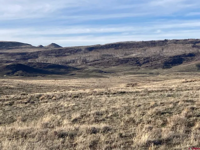 a view of under an ocean