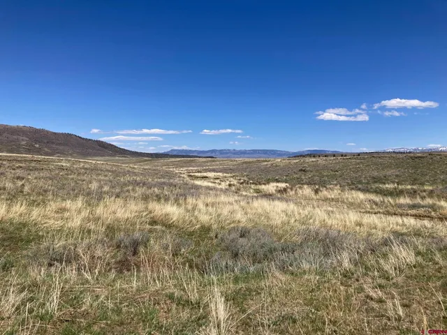 a view of an ocean from a yard