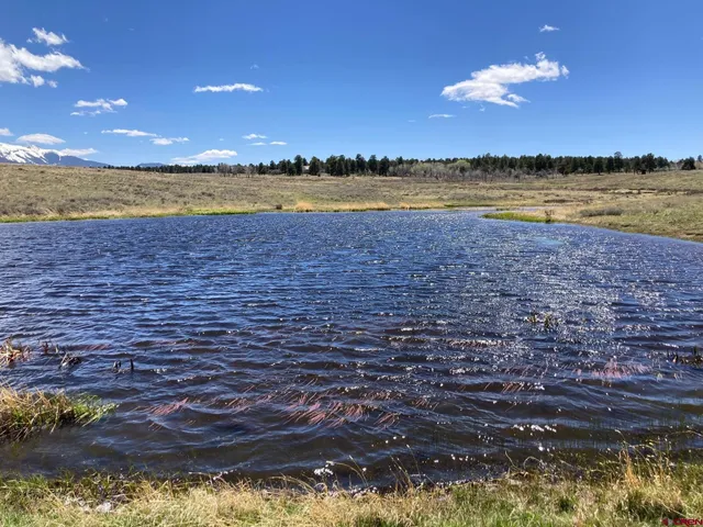 a view of an ocean and beach