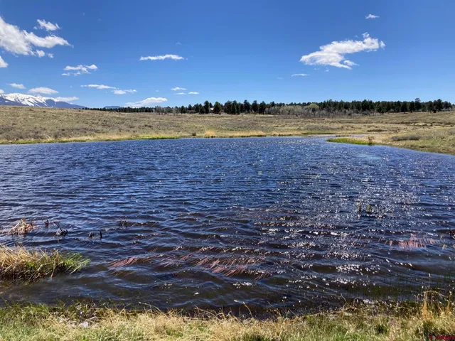 a view of an ocean beach and outdoor space