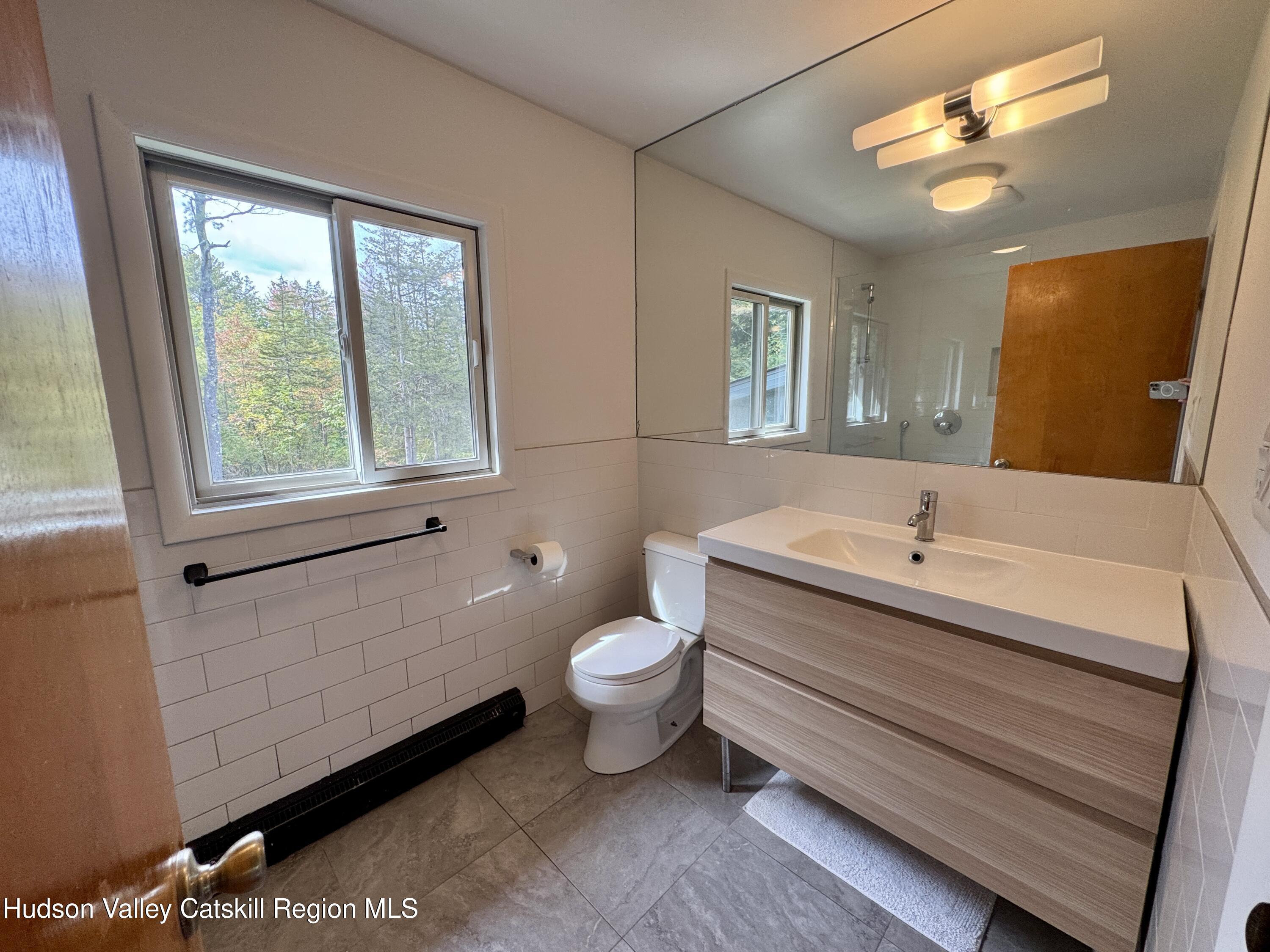 399 Hamburg Road Catskill, NY 12414 - Photo 16 of 23 a bathroom with a sink a toilet and a window