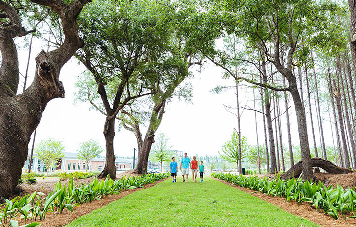 114 Moscato Lane Ridgeville, SC 29472 - Photo 11 of 18 CRS_HeronsWalkatSummersCorner_Pic_Amenit
